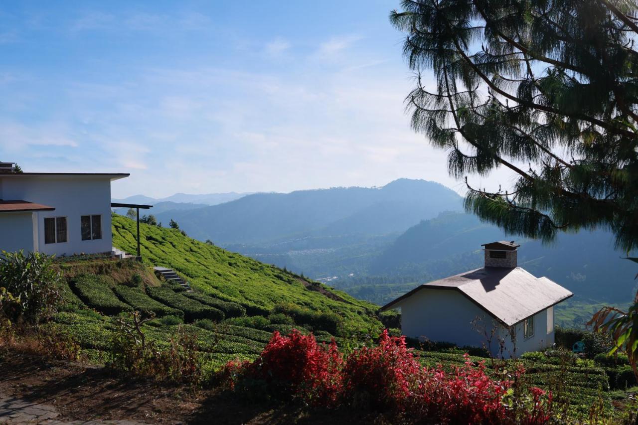 Planters Punch Resort Udagamandalam Exterior foto